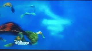 Finding Nemo exit buddy Wealth