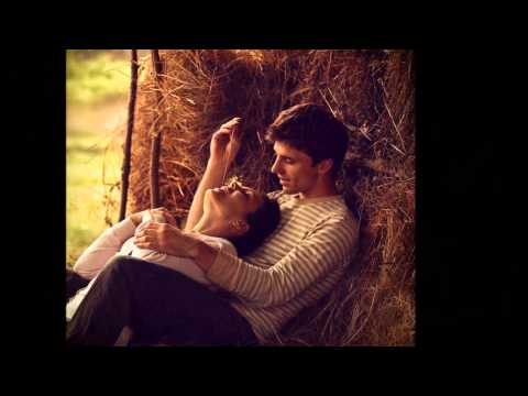 يا مجنون هيفا وهبي