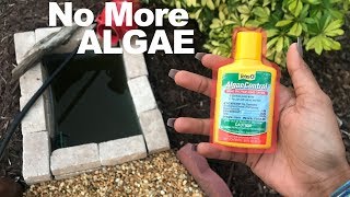 How to get RID of ALGAE in your AQUARIUM!!