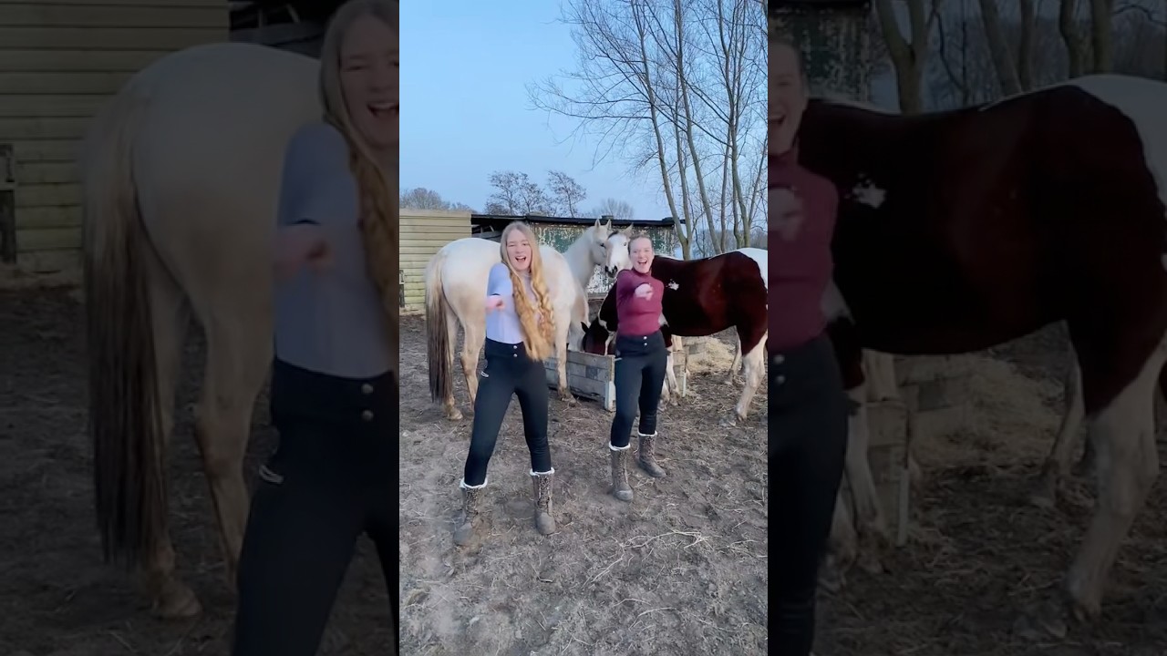 Felt like dancing #horses #paarden