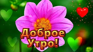 💖Доброе Утро!💖 Чудесной Пятницы! 💖Лёгкого Денёчка И Удачных Вам Выходных!💖🌹🌹🌹🌹🌹🌹🌹🌹🌹🌹🌹🌹🌹🌹🌹🌹🌹🌹🌹🌹🌹🌹🌹🌹🌹🌹