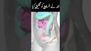 Fetal development 0-40weaks|baby Growth #viral #ytshorts #health #baby