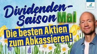 Dividendensaison! Die besten Aktien zum Abkassieren!