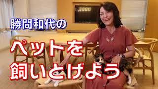 勝間和代の、ペットを飼いとげよう。ペットをお迎えするときには養子縁組と同じ覚悟が必要です。