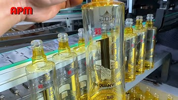 8 Colors Servo Screen Printing And Hot Stamping Machine For Wine Glass Bottles