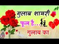     2024tute gulab ki shayari best gulab shayari 2024 gulab shayari hindi 2024 