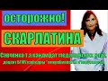 Скарлатина.  Скарлатина - инфекционное детское заболевание.