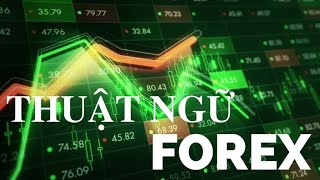 KÝ HIỆU VÀ CÁC THUẬT NGỮ FOREX DÀNH CHO NGƯỜI MỚI GIAO DỊCH