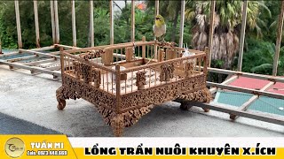 Quả Lồng Trần Xịn Xò Cho Chú Vành Khuyên Tuấn Mi