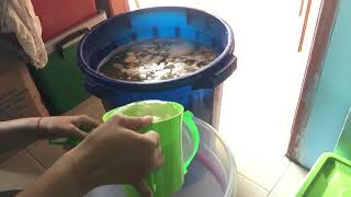 Download Lagu Tuak @ rice wine 3 MP3