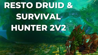 Resto Druid and Survival hunter 2v2 the best 2s comp!