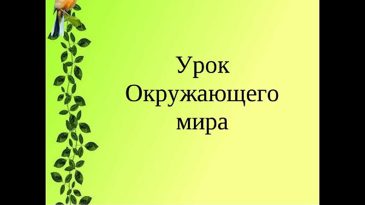 Открытый урок окружающий мир 1 класс. Урок окружающий мир. Окружающий мир презентация. Окружающей мир для презентации.