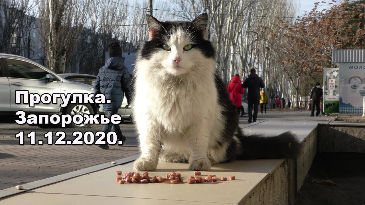 Прогулка по солнцу на Космосе.Запорожье 11.12.2020. - YouTube