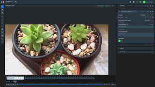 Plants segmentation on videos with Supervisely