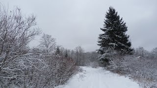 #90 Зимний шурф фундамента, который начинали шурфить года три назад.