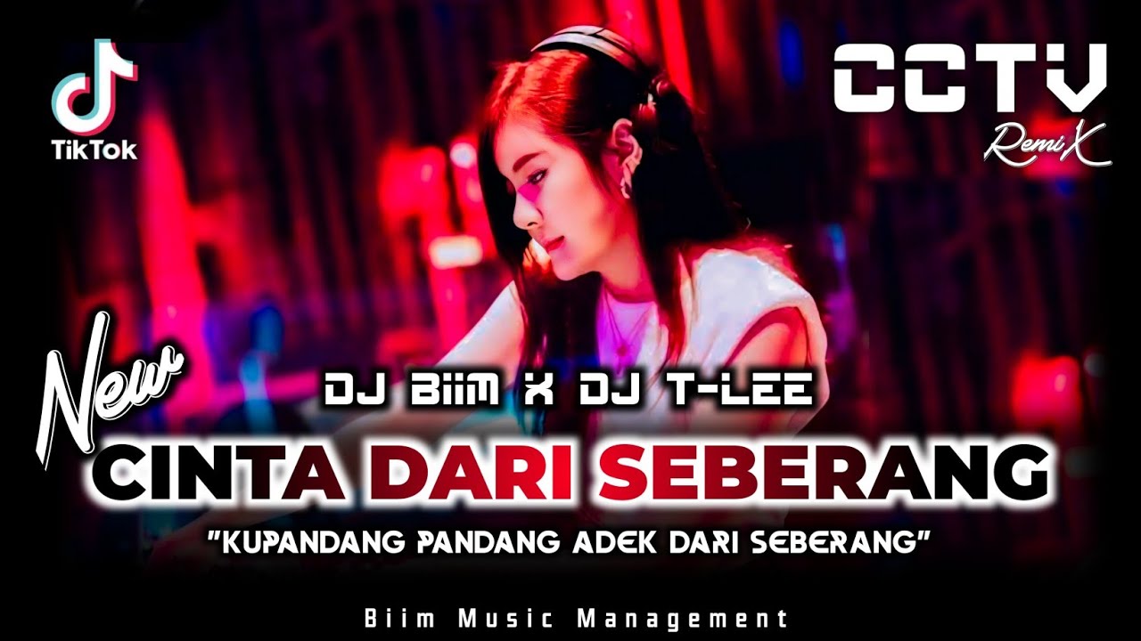 DJ Biim™ Feat DJ T-Lee™‼️|| DJ KUPANDANG PANDANG ADEK DARI SEBERANG (NEW)‼️|| DJ MENGAPA INI TERJADI