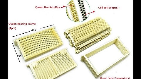 How to use No grafting Queen Rearing Kit