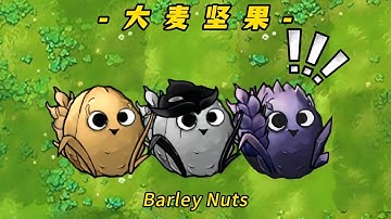 PvZ-Fusion-Plant Mod -Barley Nuts- 植物大战僵尸融合版-三种大麦坚果对比：从基础到究极进化，实力差距有多大？