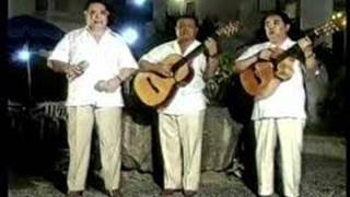 Video thumbnail of "BLANCA FLOR  -  LOS MONTALVINOS"