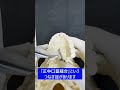【急速拡大装置】矯正器具の解説│歯列矯正│#shorts