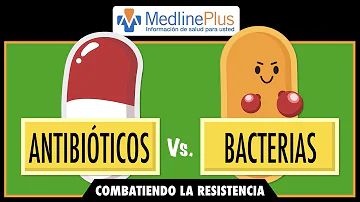 ¿Qué antibióticos tratan las infecciones bacterianas?