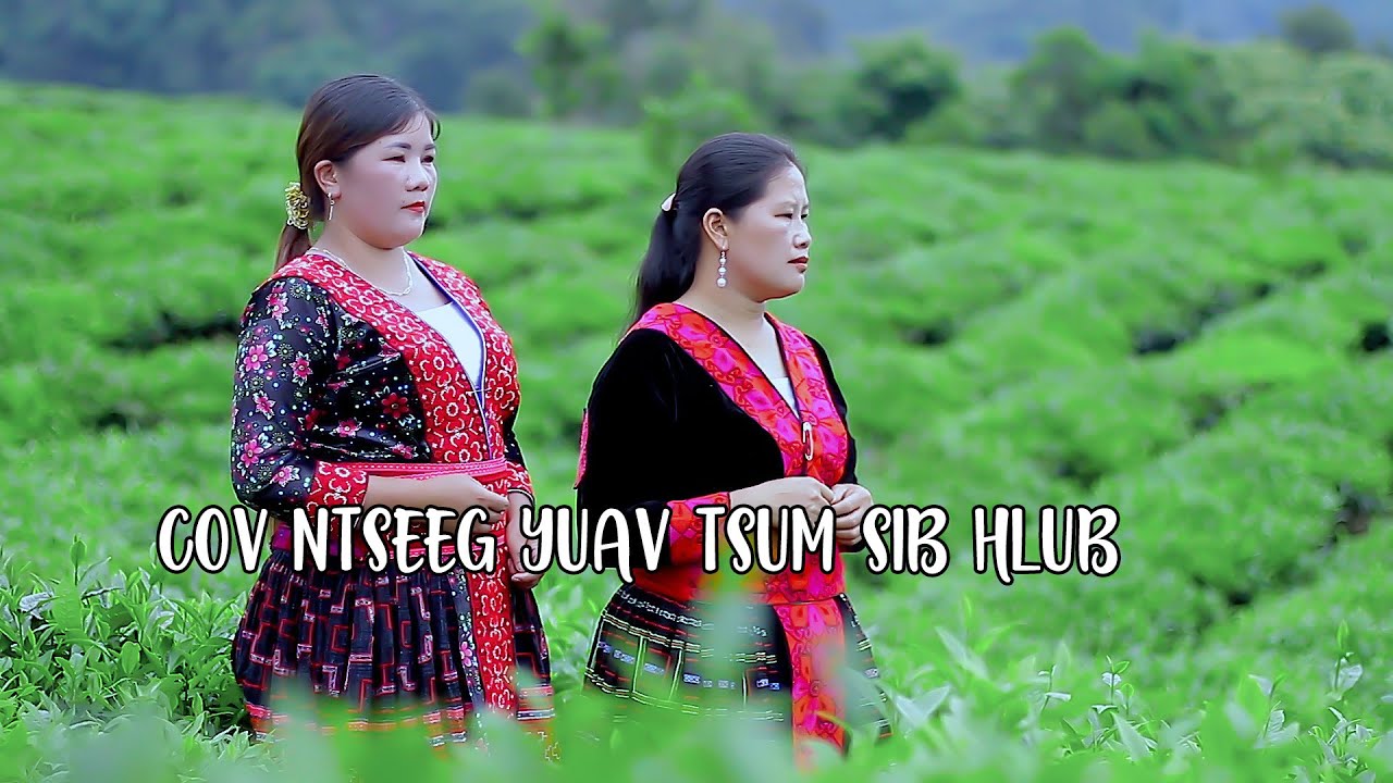 PEB COV NTSEEG YUAV TSUM SIB HLUB II NKAUJ TSHIAB 2024-2025 PAAB PAWG CTL 06/11/2024