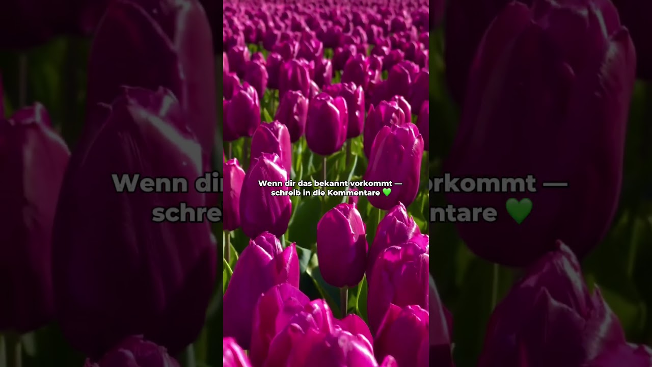 Tulpen & Kindheit 🌷