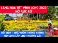 CƠN SỐT HOA TẾT 2022 tại LÀNG HOA TẾT VĨNH LONG,NHÀ VƯỜN Trồng KHÔNG ĐỦ Cung Cấp Cho THƯƠNG LÁI|KPVL