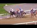RM38 Al RAYAN RACE-1