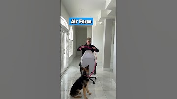 Walking Your Dog With The Branches #shorts