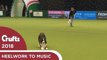 Heelwork to Music - Freestyle International Competition Part 1 | Crufts 2018