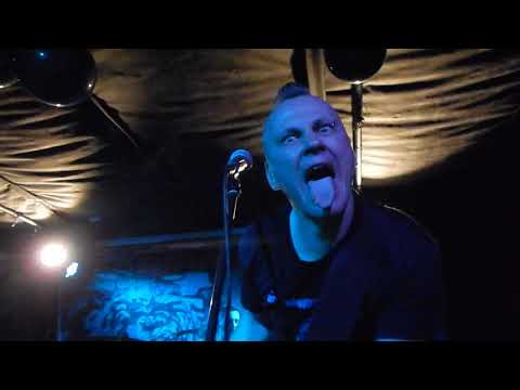 Meantraitors - The Voice of Bear