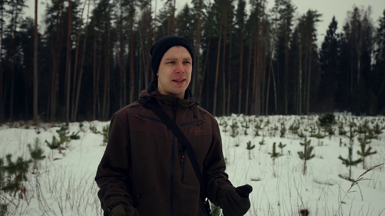 Meža atjaunošanas iespējas  | Padomi meža īpašniekiem 🌳