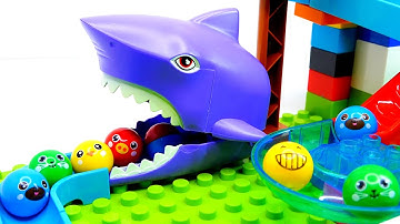 Marble Run Race ☆ ASMR ☆ Building Block coaster  Shark course