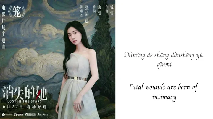 笼 - 张碧晨 | Cage - Zhang Bichen (Diamond Zhang) - Lost in the Stars / 消失的她 OST (Chi/Pinyin/Eng) - DayDayNews