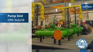 CPO Pump Skids for Power Plant in Mexico