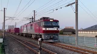 常磐線貨物 2094レ EH500 2型牽引 荒川沖駅～ひたち野うしく駅間