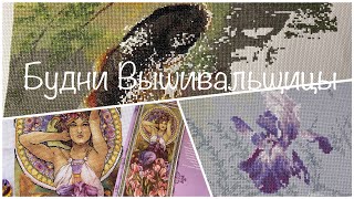 картинка: #499. Будни Вышивальщицы 16-30.09.25/ Аметист, Карпы, Синички и Шпроты