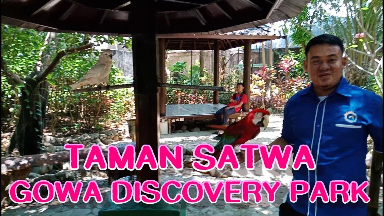 JalanJalan Ke Taman Satwa Gowa Discovery Park YouTube