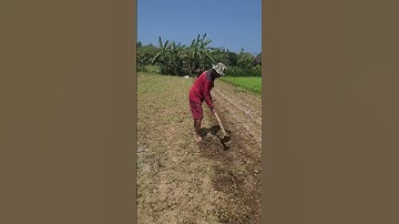 Smart way for farmers to dig the soil with simple tools #shorts