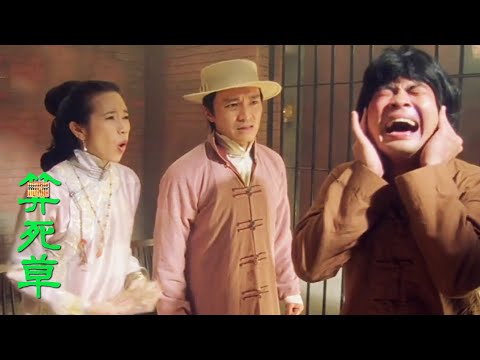 彌敦道九號剪的！新年剪髮切忌貪平｜算死草｜周星馳｜莫文蔚｜葛民輝｜邱淑貞｜香港電影｜美亞｜整人狀元｜精華