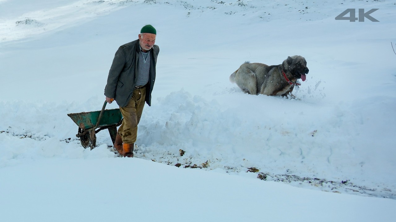 Соседи Облаков - Деревня на Высоте 2300 Метров | Документальный Фильм