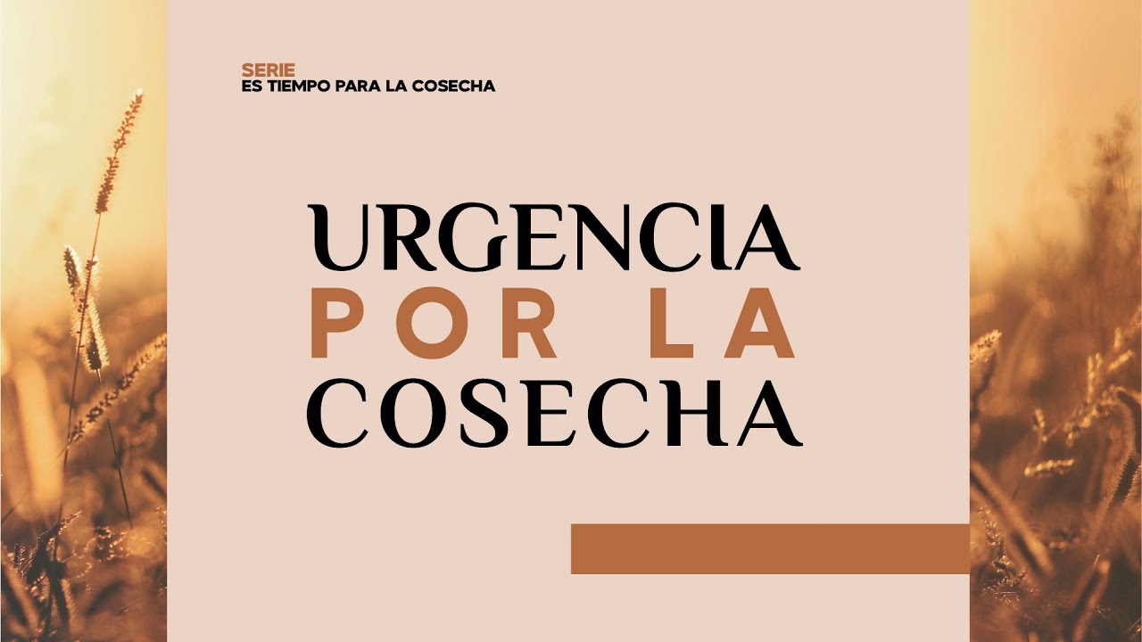 SERVICIO DEL DOMINGO EN VIVO - YouTube