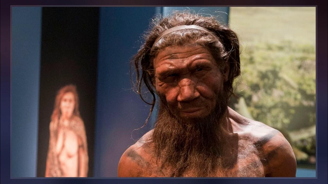 Кроманьонец ( homo sapiens). Неандерталец и денисовец. Неандерталец неандерталец. Человек умелый человек неандертальский. Хомо сапиенс неандерталенсис.