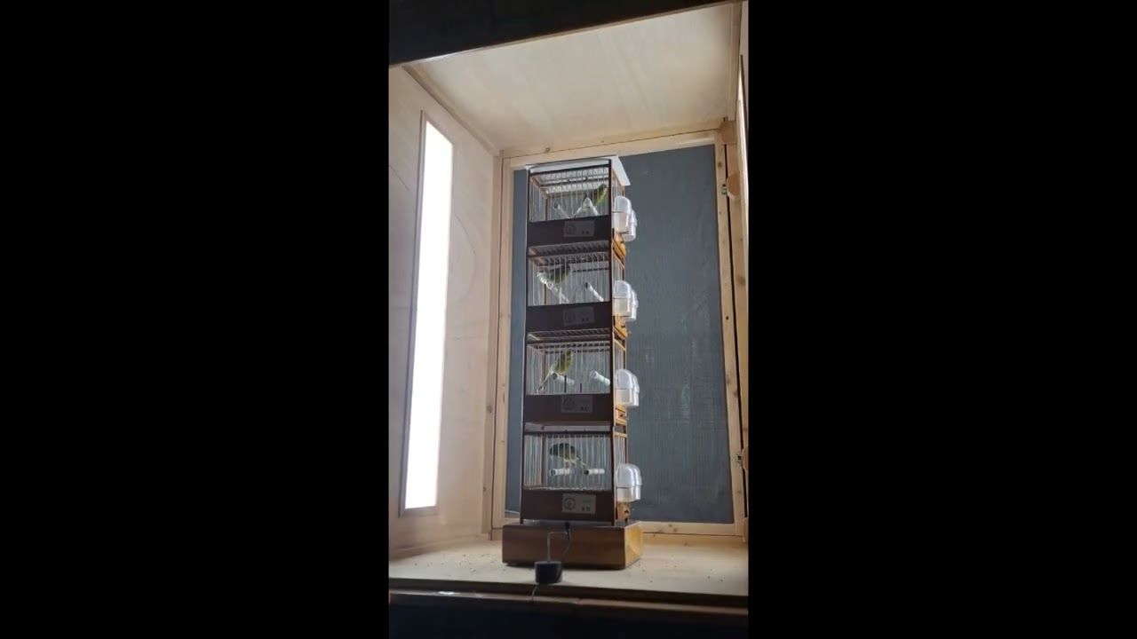 2º EQUIPOS LEBRIJA 2025