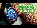Seiko Turtle Padi SRPA21 - Full Review