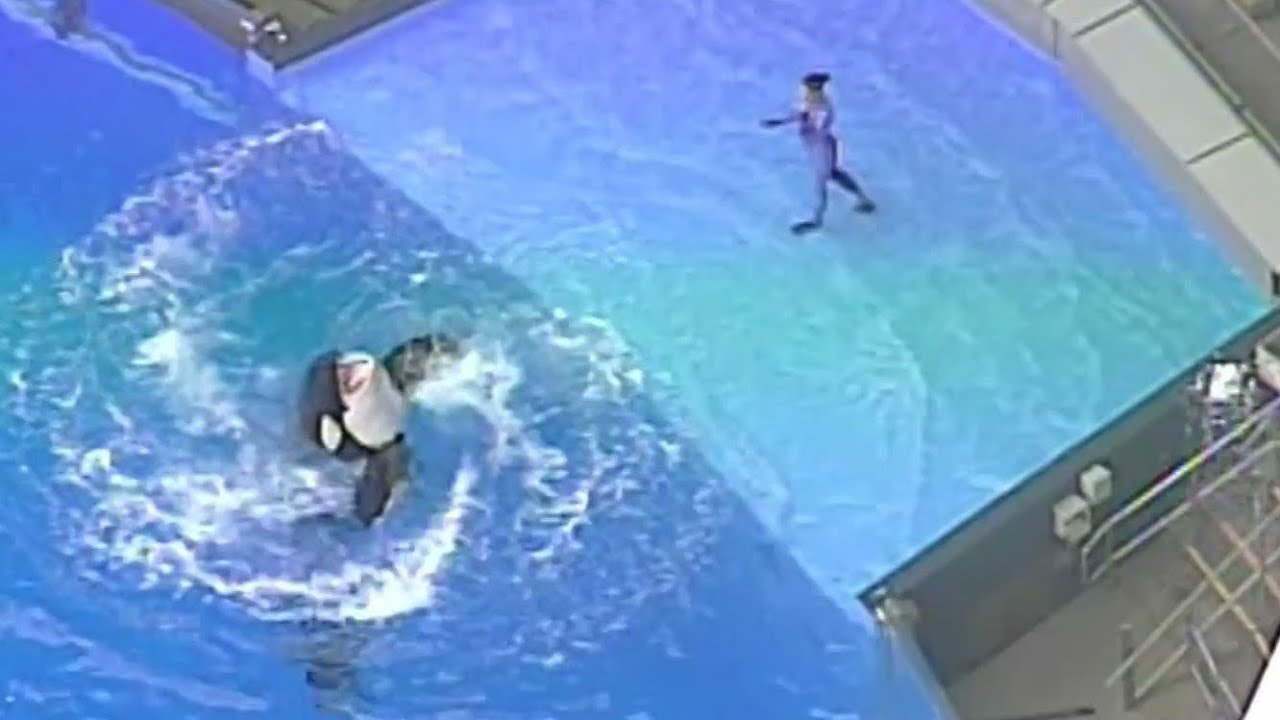 DOJ investigating 3 Florida theme parks after discrimination complaints