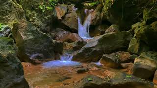 natural nature sounds  forest water sounds  relaxing river sounds