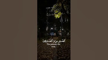 تلاوة هادئة تريح الأعصاب 💙🎧 | القارئ أحمد النفيس - سورة آل عمران 😌⛅