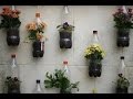 Balcony garden plant ideas